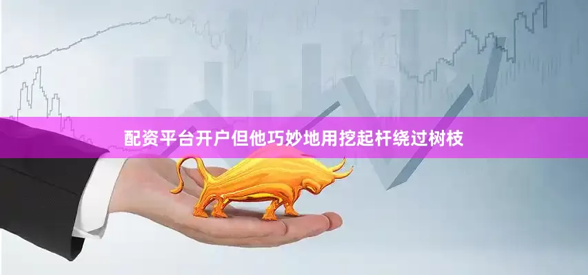 配资平台开户但他巧妙地用挖起杆绕过树枝