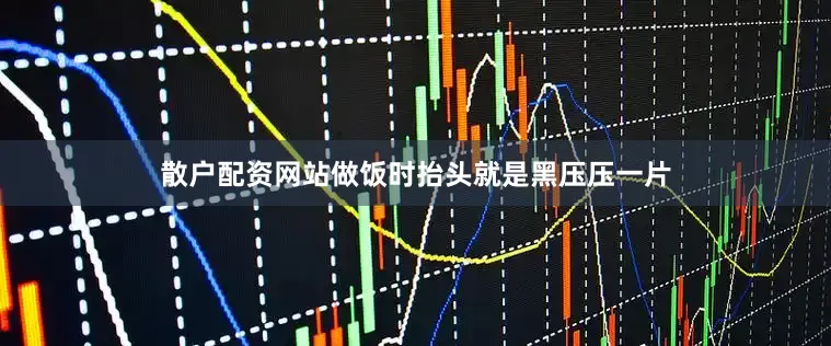 散户配资网站做饭时抬头就是黑压压一片