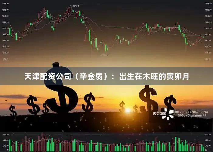 天津配资公司（辛金弱）：出生在木旺的寅卯月