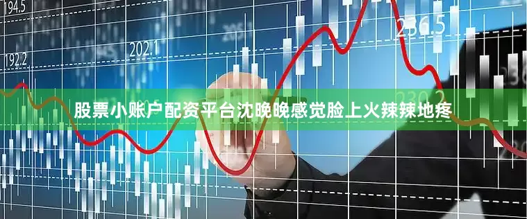 股票小账户配资平台沈晚晚感觉脸上火辣辣地疼
